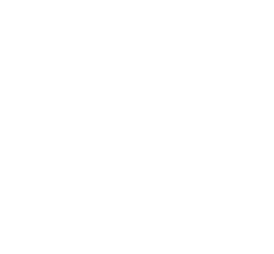 skinroo